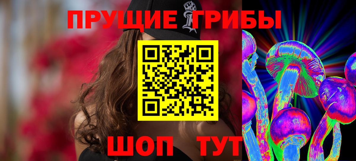 Псилоцибиновые грибы Psilocybine cubensis Новороссийск