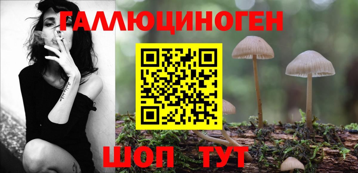 Псилоцибиновые грибы мицелий  Псилоцибиновые грибы прущие грибы  Вход с VPN  Новороссийск 